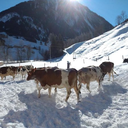 Fusch an der Grossglocknerstrasse Bio-Bauernhof Schiederhof 아파트 외부 사진