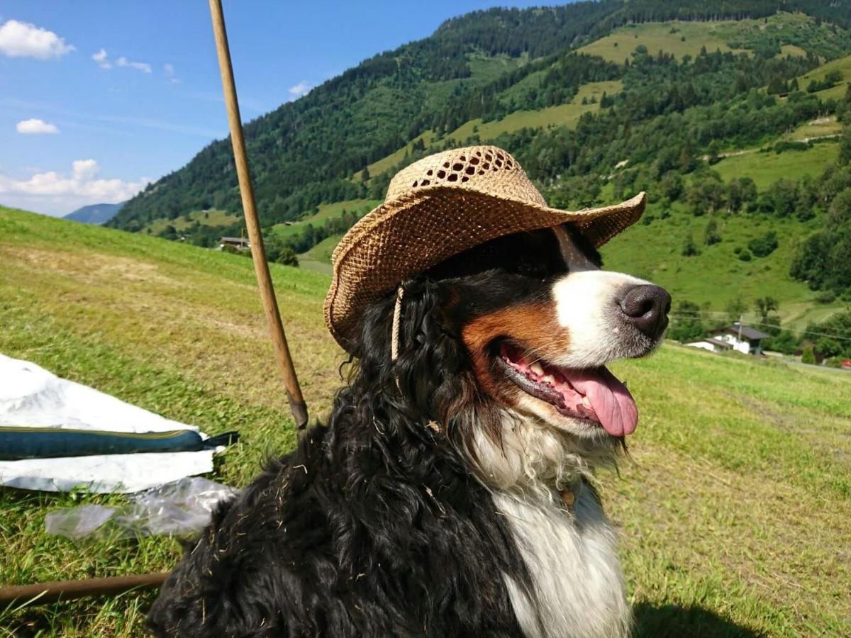 Fusch an der Grossglocknerstrasse Bio-Bauernhof Schiederhof 아파트 외부 사진