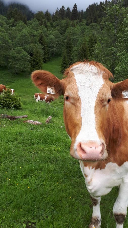 Fusch an der Grossglocknerstrasse Bio-Bauernhof Schiederhof 아파트 외부 사진