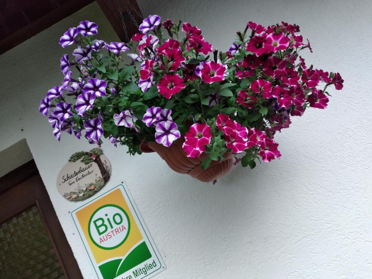Fusch an der Grossglocknerstrasse Bio-Bauernhof Schiederhof 아파트 외부 사진