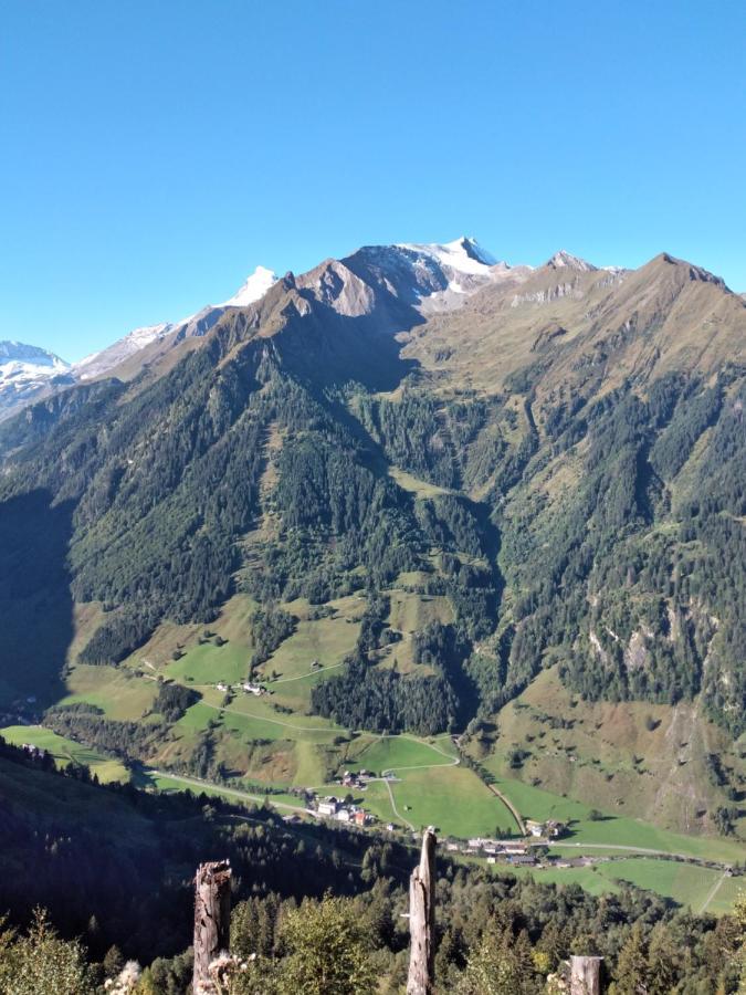 Fusch an der Grossglocknerstrasse Bio-Bauernhof Schiederhof 아파트 외부 사진