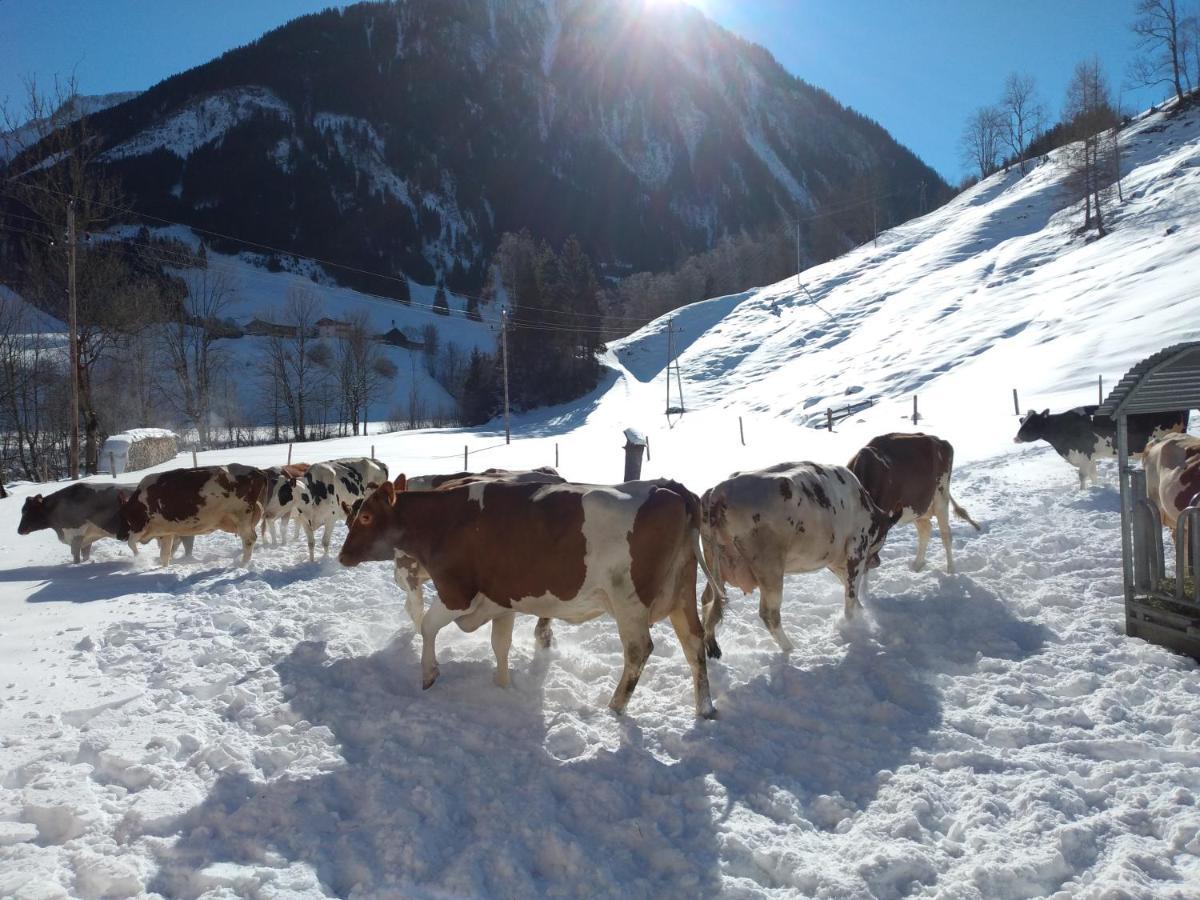 Fusch an der Grossglocknerstrasse Bio-Bauernhof Schiederhof 아파트 외부 사진